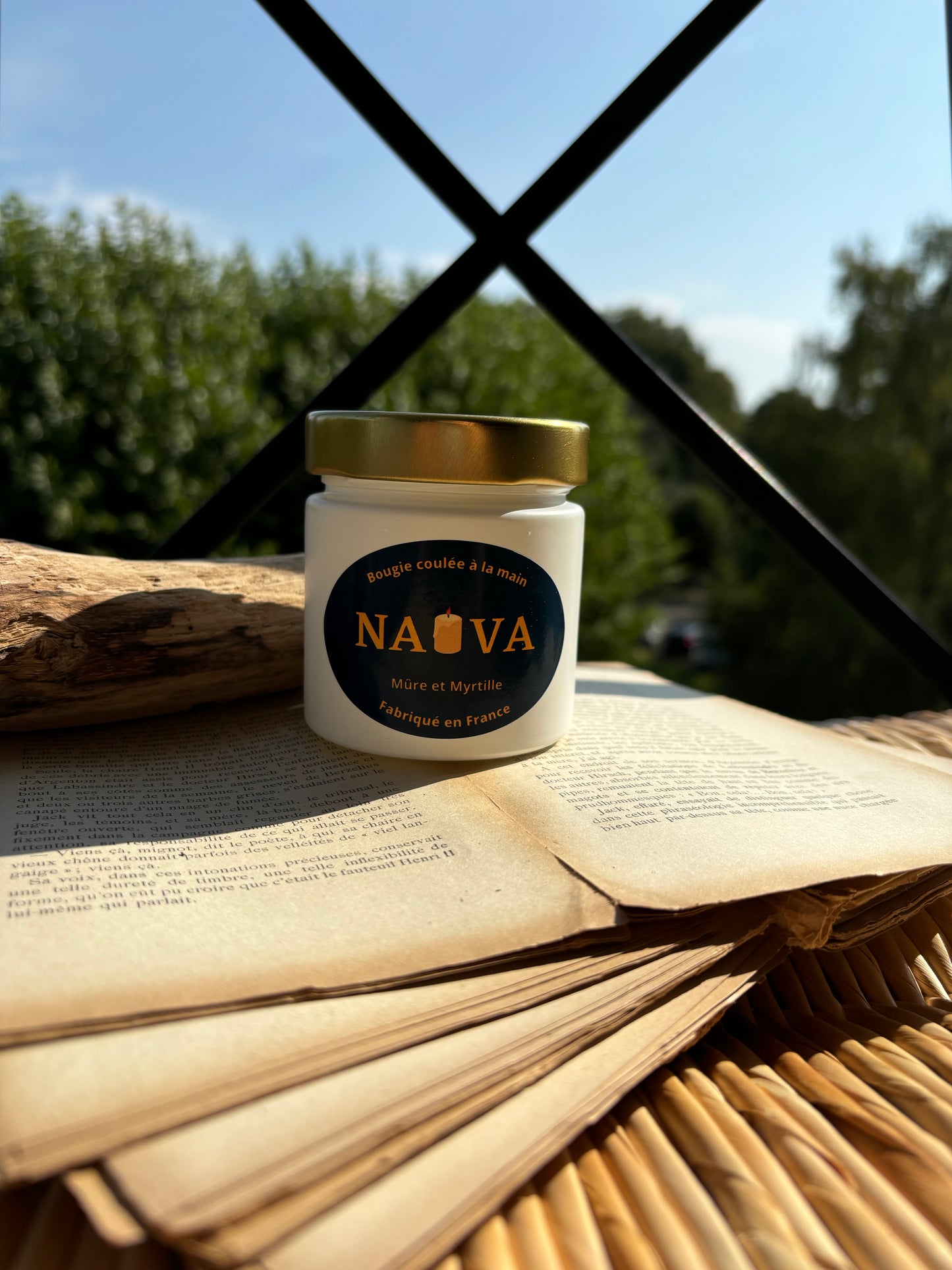 Bougie Mûre & Myrtilles · Évasion Sauvage · Cire végétale 160g