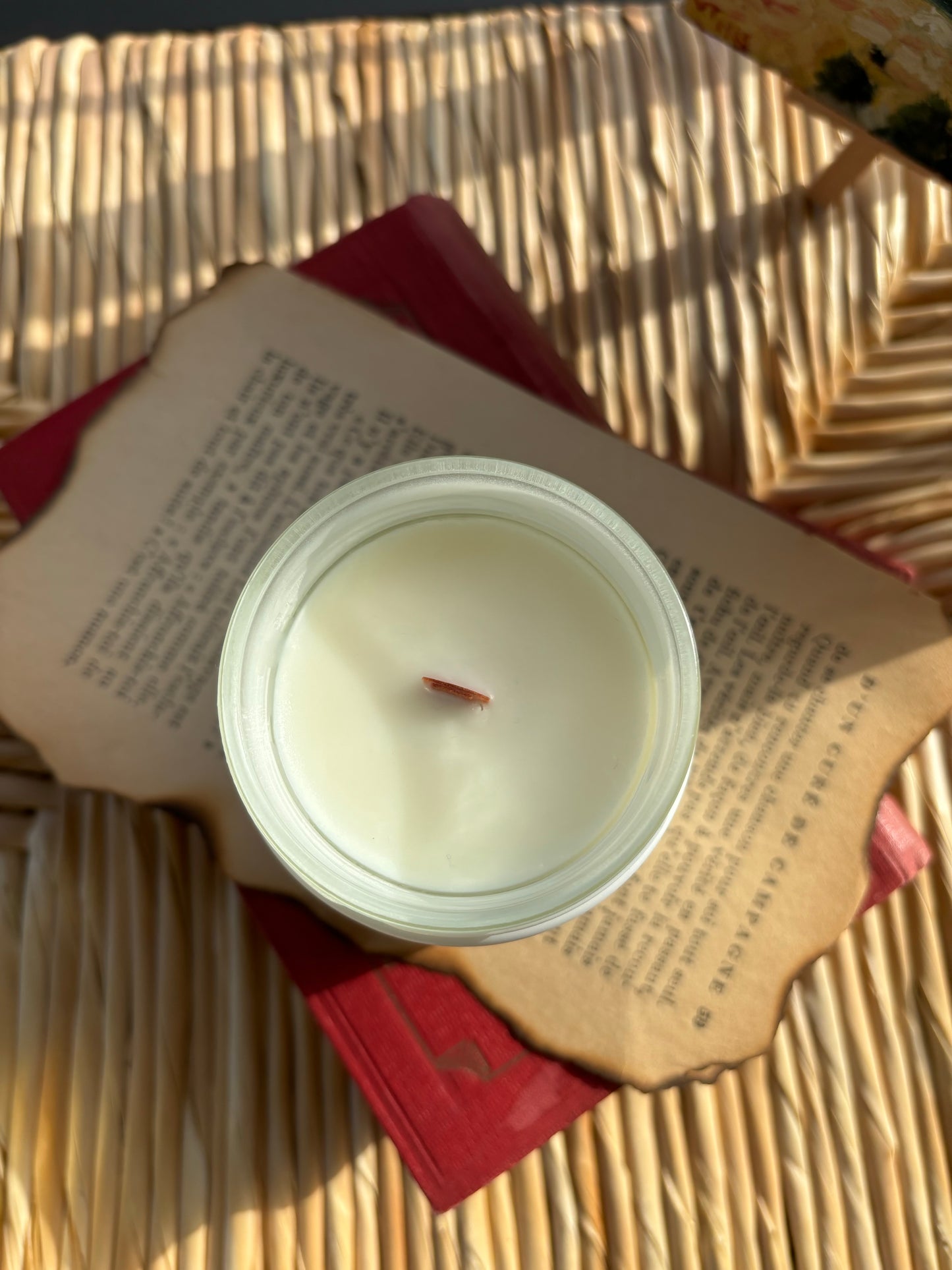 Bougie Mûre & Myrtilles · Évasion Sauvage · Cire végétale 160g